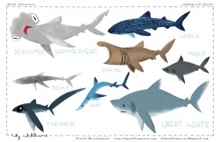 FINconceivable a beautiful kid friendly animated short documentary about Sharks and their role in the Ocean Ecosystem / Ocean Great Ideas