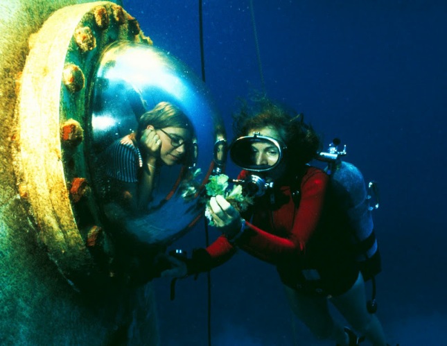 Sylvia Earle / Ocean Great Ideas